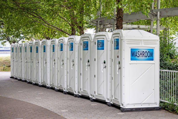 Best Porta potty rental for festivals  in Dane, WI
